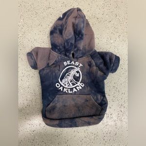 size XS Dog hoodie! Pre-owned and LOVED.